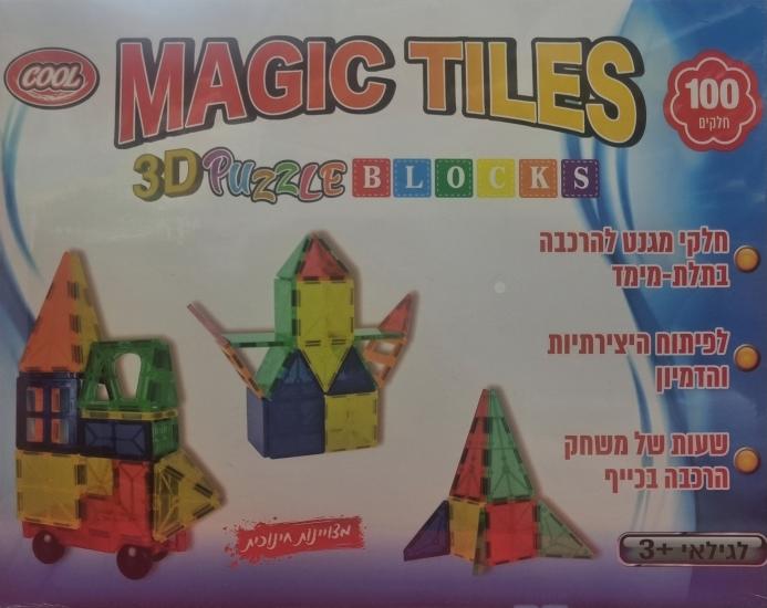 100 מגנטים