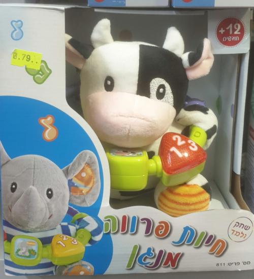 חיות מנגנות , פרה